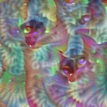 گربه ایدهآل