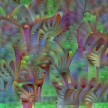 گورخر ایدهآل